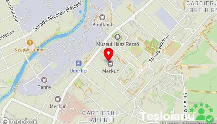 hartă a Altex Magazin de electronice, Magazin cu sisteme de aer condiționat, Magazin de aparatură electrocasnică, Magazin de aparate foto, Magazin de telefoane mobile, Magazin de computere, Magazin de frigidere, Magazin de anvelope în Odorheiu Secuiesc