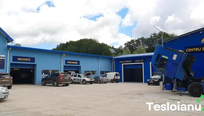 Amro Auto S.r.l. - Poiana Țapului 105500