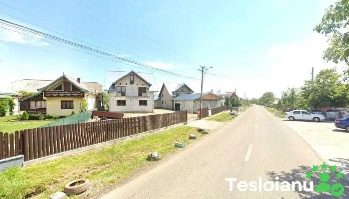 Anila Berchisesti - Berchișești