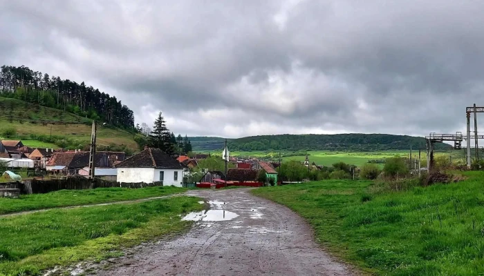 Archita -  Comentarii - Romania