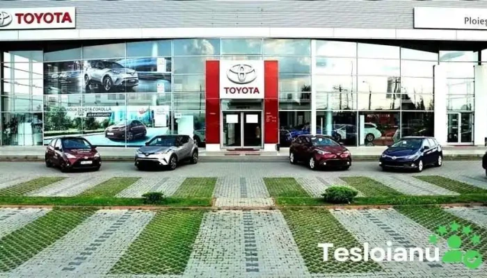 Arena Auto - Ploiești 100189