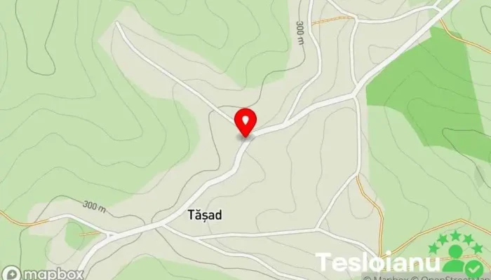 hartă a ASOCIAȚIA PENTRU CONSERVAREA PATRIMONIULUI CULTURAL LOCAL TASADIA TĂȘAD Atracție turistică în Tăşad