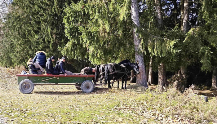 Asociatia Szaguldo -  Aproape De Mine - Tușnadu Nou