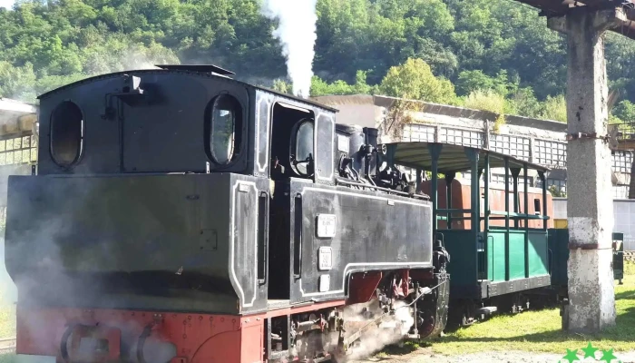 Atelierele Centrale Criscior Tren - Barza