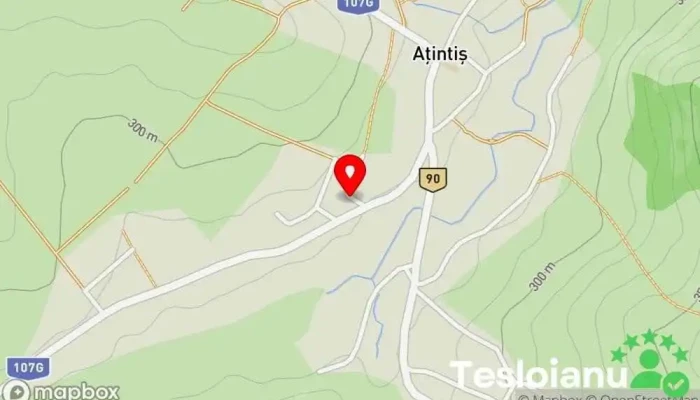 hartă a Aţintiş  în Aţintiş
