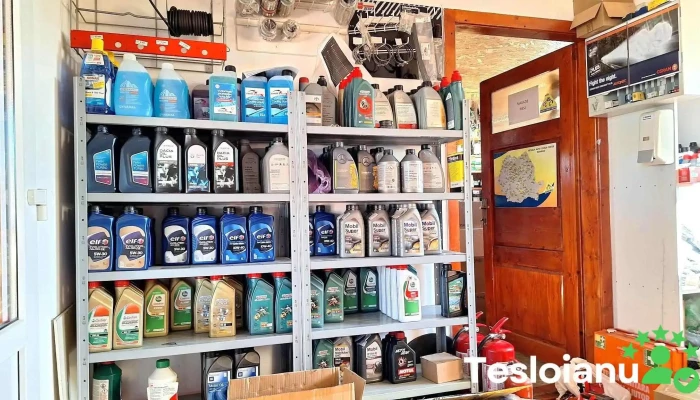 Auto Check Center -  Nelumec Interior - Tinăud