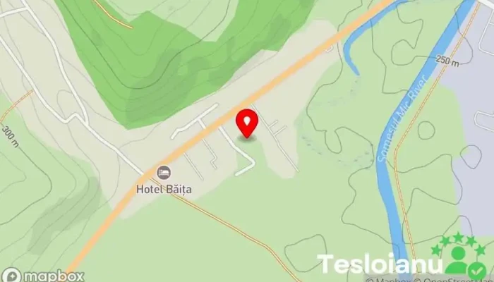 hartă a Auto Check Center Pausil Auto Service de restaurări auto în Băiţa