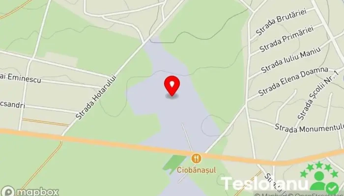 Auto Dez Tlk - România