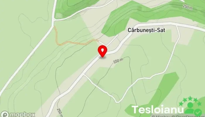 hartă a Auto Mecanic Atelier de reparații auto în Cărbuneşti Sat