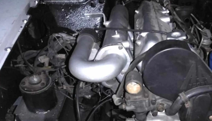 Auto Pio Service -  Deschis Acum - Arbore
