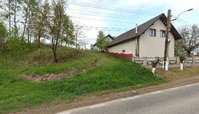 Auto Pio Service -  Street View Si 360deg - Arbore