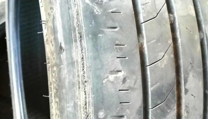 Auto Viv -  Catalog - Bivolăria