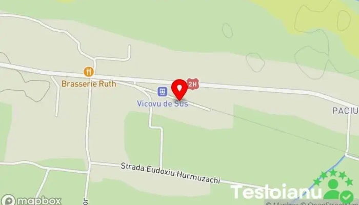 hartă a Auto VIV Service auto, Agenție de asigurări auto, Atelier de reparații auto, Magazin de piese auto în Bivolăria
