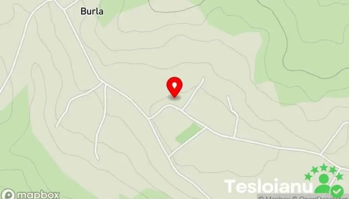 hartă a Auto Zyp Service Service auto în Burla