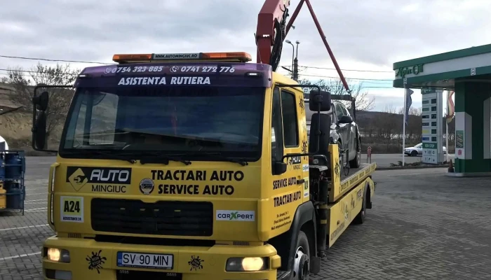 Automingiuc -  Catalog - Fălticeni