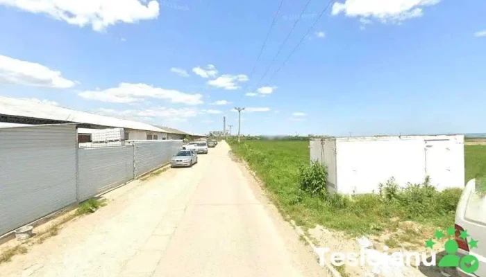 Automobile Iași - România