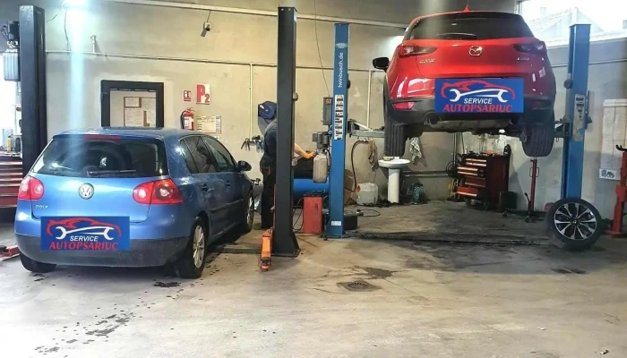 Autopsariuc Service Srl - România
