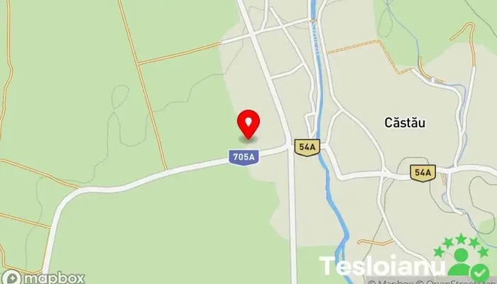 hartă a Autoservice Iancau Service auto în Căstău