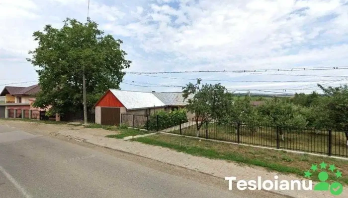AutotodoGeorgiana - România