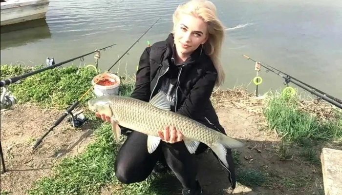 Balta Draganesti -  Cum Să Ajungi Acolo - Comuna Drăgănești