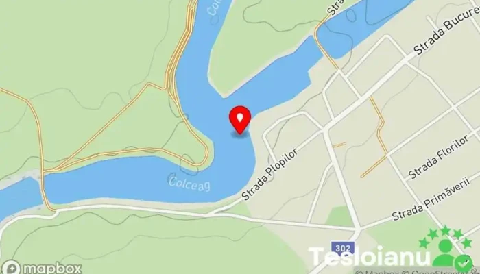 hartă a BALTA DRĂGOEȘTI (FOSTA BGS) Lac de pescuit în Drăgoeşti