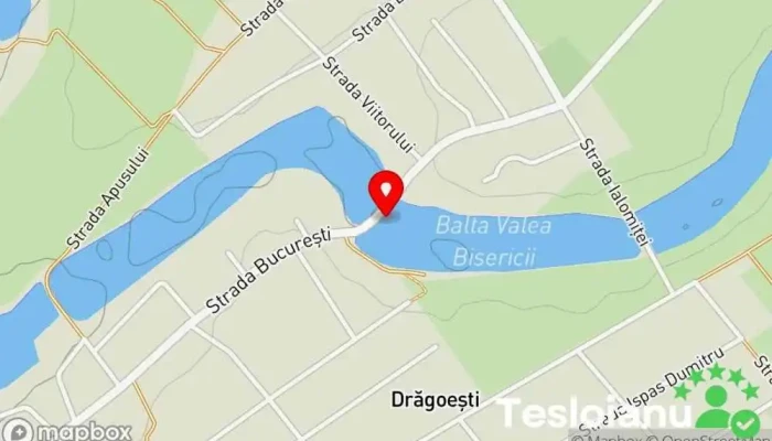 hartă a Balta Drăgoești Sat Lac de pescuit în Drăgoeşti