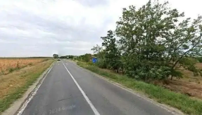 Balta Gruiu -  Street View Si 360deg - Gruiu