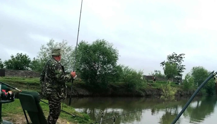Balta Iratosu -  Adresă - Iratoșu