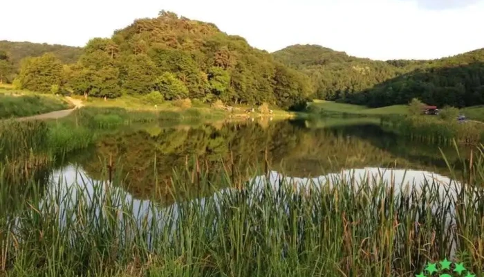 Balta Poligon Dumbrăveni - Dumbrăveni