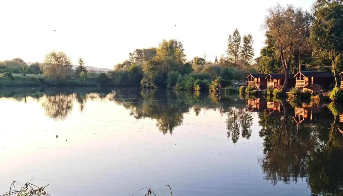 Balta Raul Reduceri - Merișani
