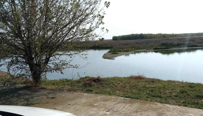 Balta Tormac -  Reduceri - Romania