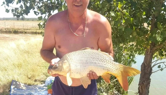 Balta Tuglui Număr - Țuglui