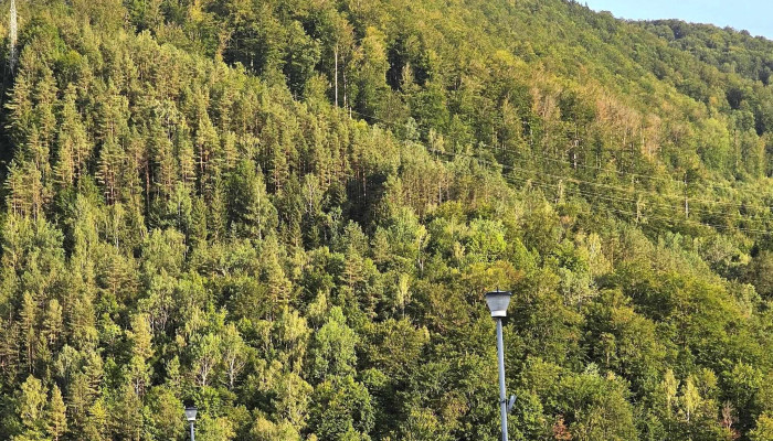 Barajul Bicaz Izvoru Muntelui Aproape De Mine - Romania