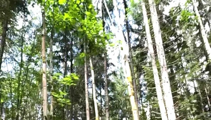 Barajul Colibita Colibița - Colibița