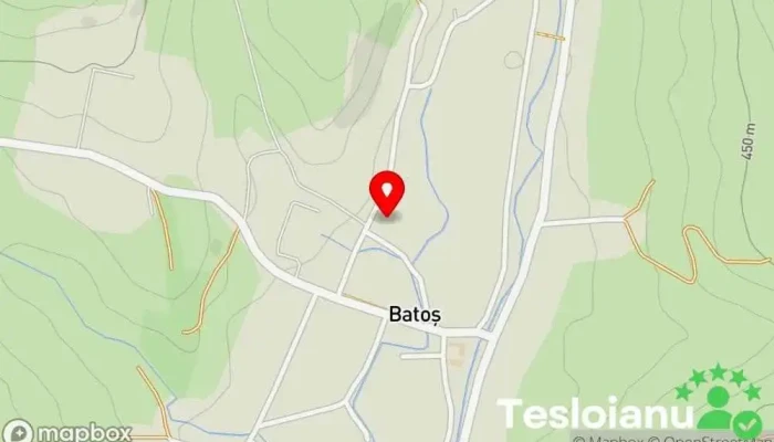 hartă a Batoş  în Batoş