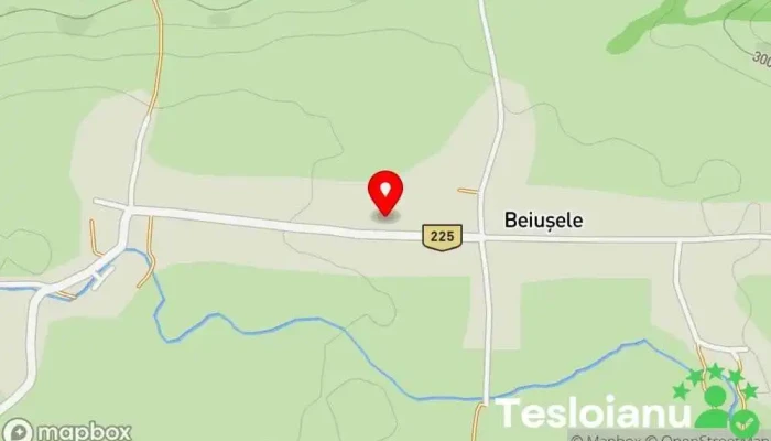 Beiușele - Beiușele