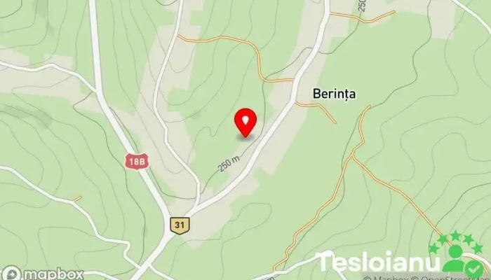 hartă a Berinta  în Berința