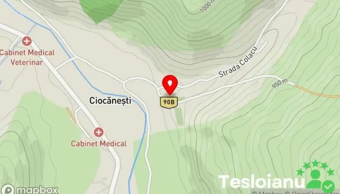 hartă a Biserica Adormirea Maicii Domnului Biserică ortodoxă în Ciocănești