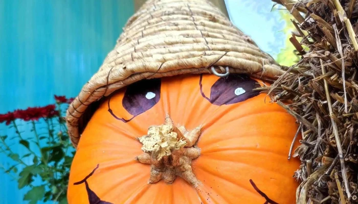 Blagas Farm Cum Să Ajungi Acolo - Odoreu
