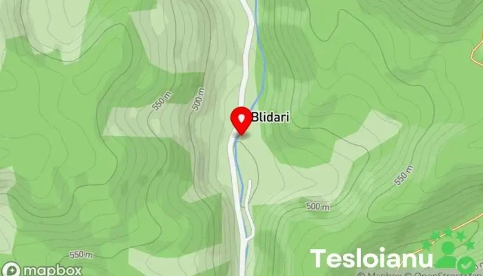 hartă a Blidari  în Blidari