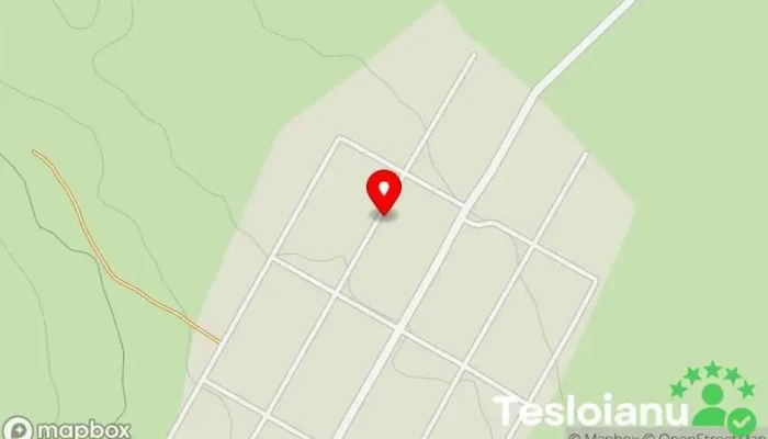 hartă a Bocan Service Service auto în Răucești