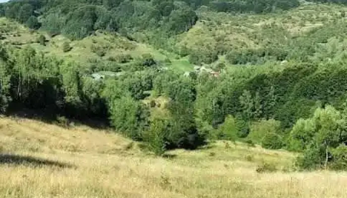 Boiereni - Boiereni