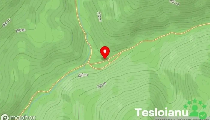 hartă a Borcut Poiana Botizii Zonă pentru excursii în Poiana Botizii