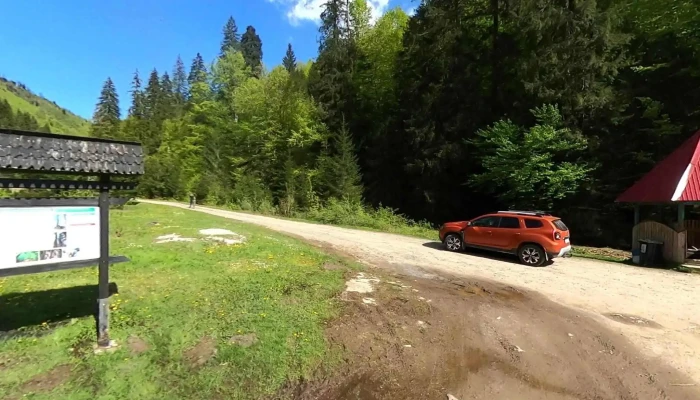 Borcut Poiana Botizii -  Street View Si 360deg - Poiana Botizii