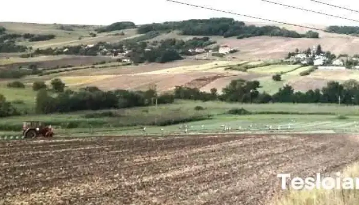 Botorca -  Recenzii - Târnăveni