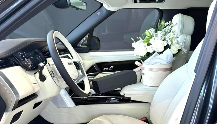 Brit Motor Ag -  Comentarii - Geamăna