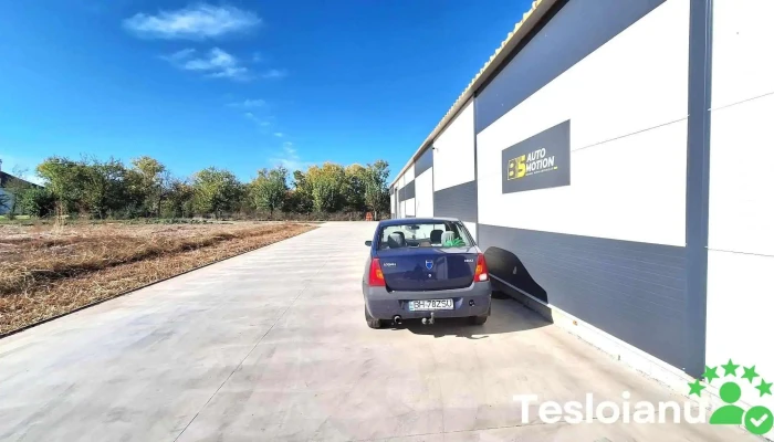 Bts Auto Motion - Paleu 417166