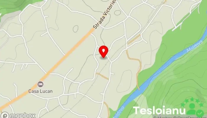 hartă a Bucovina Customs Service de electrică auto în Vama