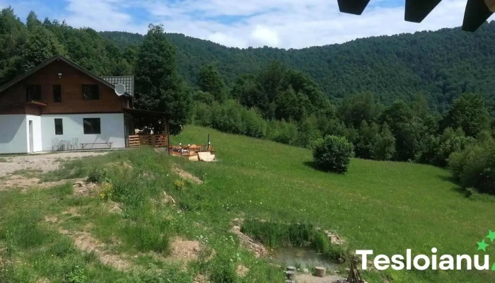 Cabana Lui Ianis -  De La Vizitatori - Valea Ierii