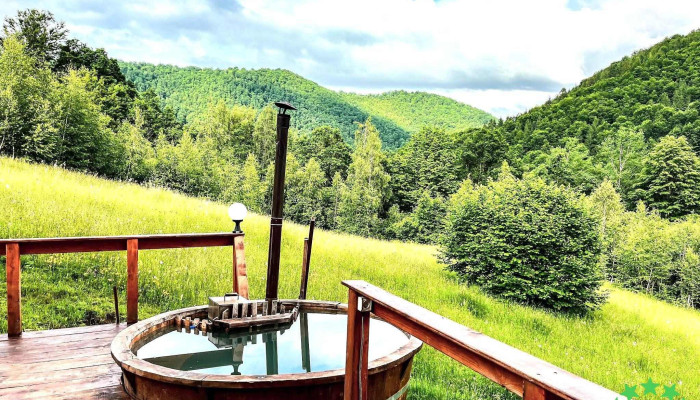 Cabana Lui Ianis -  Exterior - Valea Ierii
